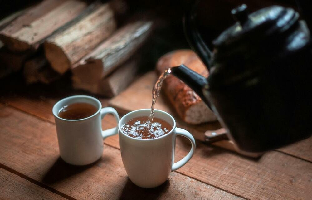 Mugs pour amateurs de thé : Quels mugs privilégier pour une dégustation parfaite ?